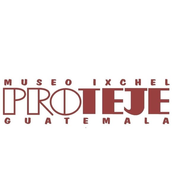 NWOT - Museo Ixchel Proteje Shoulder Sling Backpack Bag - Picture 10 of 10